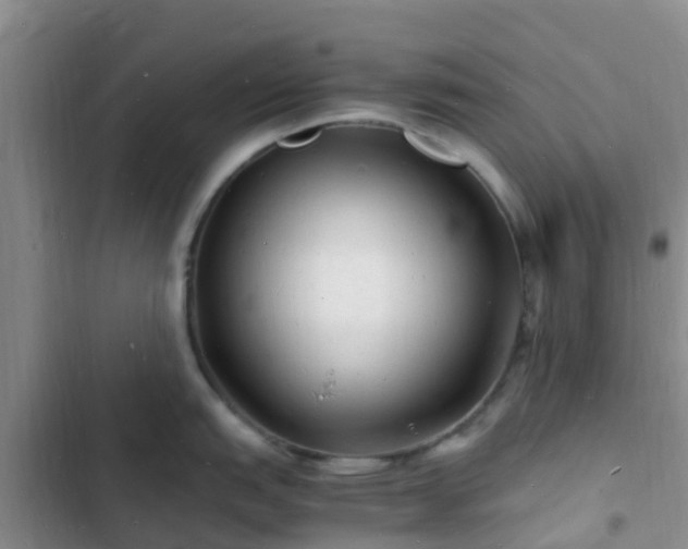 X0000102781151200808251109