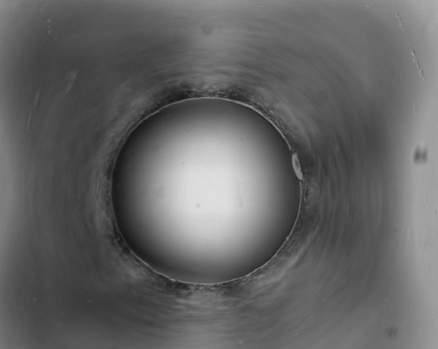 X0000102781153200808251109