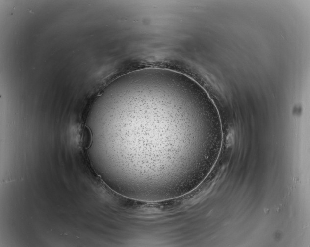 X0000102781156200808251109