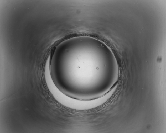 X0000102781157200808251109