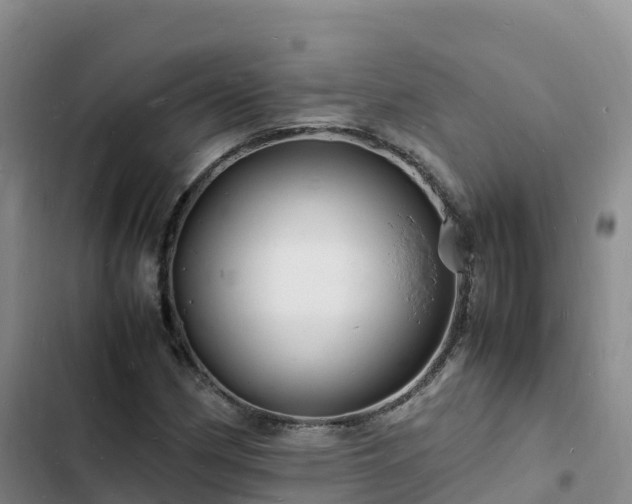 X0000102781162200808251109