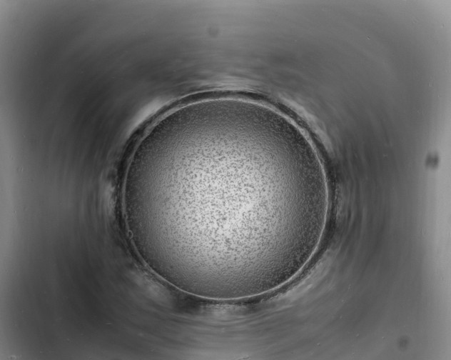 X0000102781163200808251109