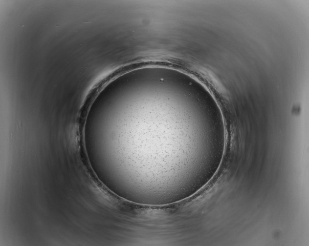 X0000102781164200808251109