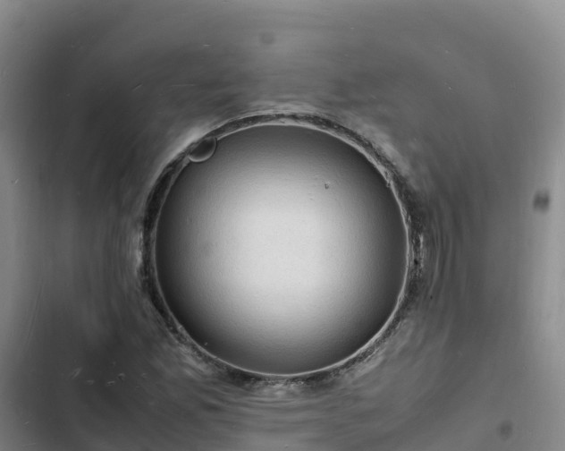 X0000102781165200808251109