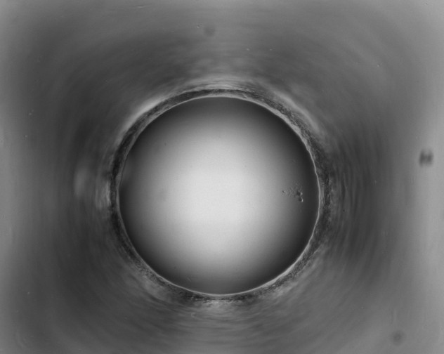 X0000102781166200808251109