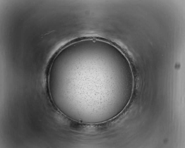 X0000102781167200808251109