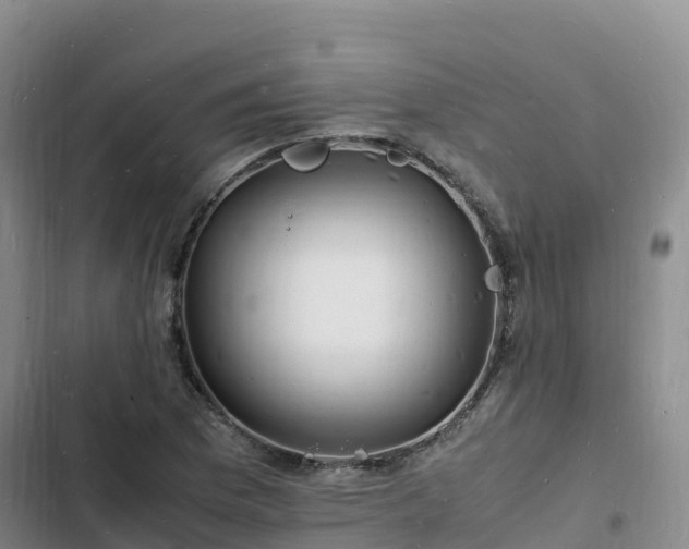 X0000102781169200808251109