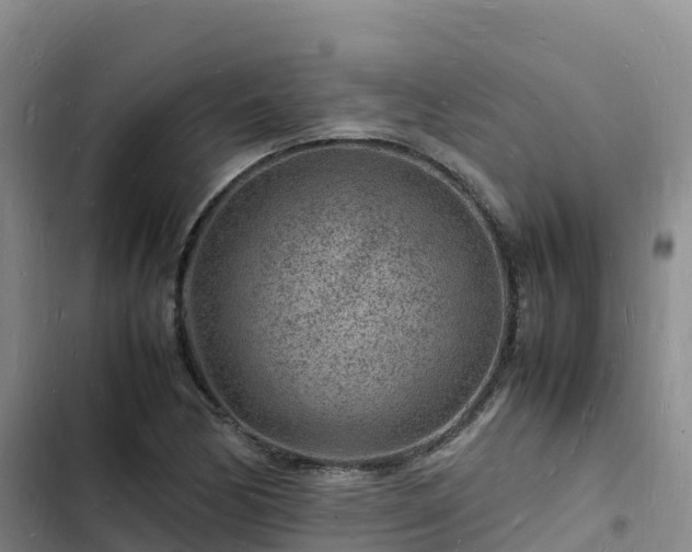 X0000102781170200808251109