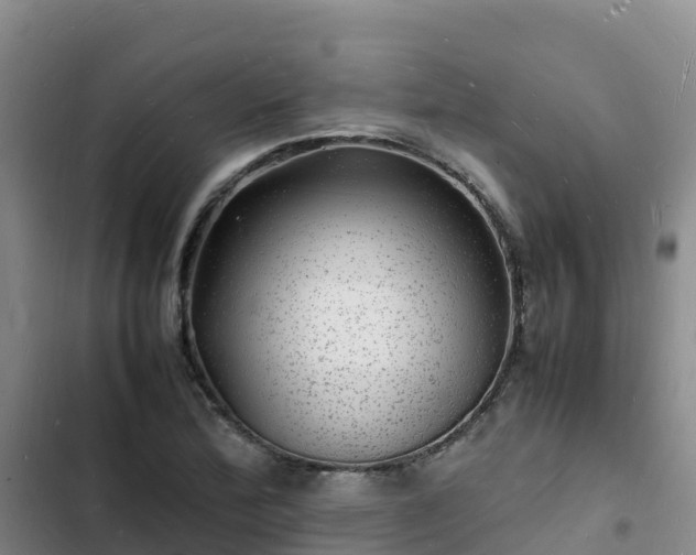 X0000102781172200808251109