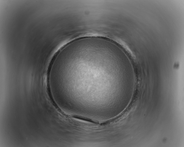 X0000102781173200808251108