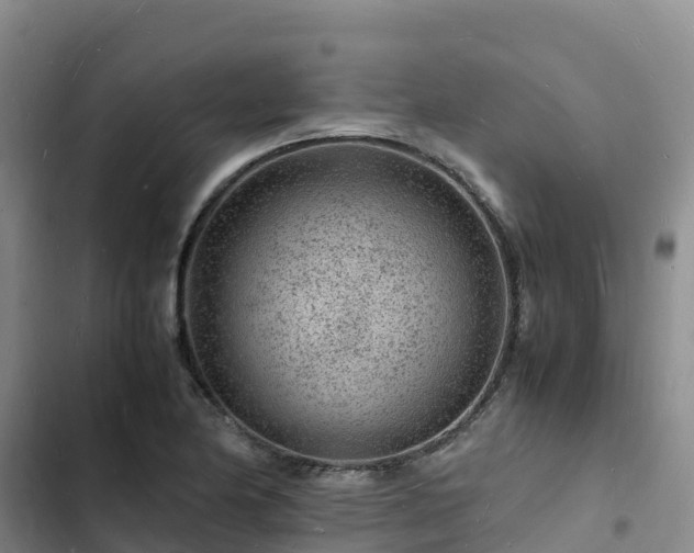 X0000102781174200808251108