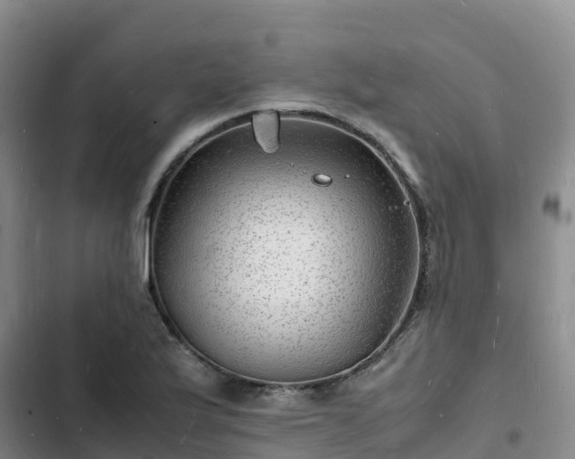 X0000102781175200808251108