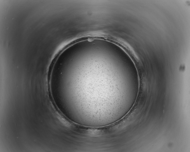 X0000102781176200808251108