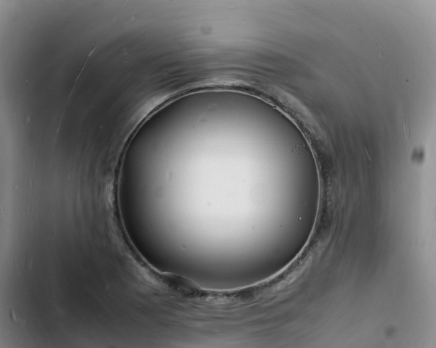 X0000102781177200808251108