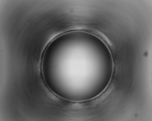 X0000102781178200808251108