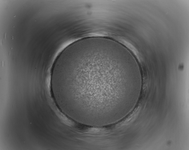 X0000102781179200808251108