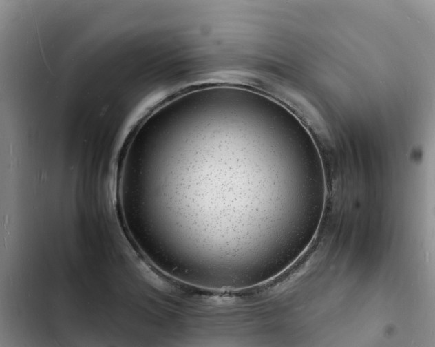 X0000102781180200808251108