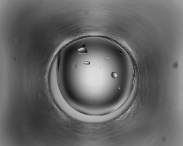 X0000102781181200808251108