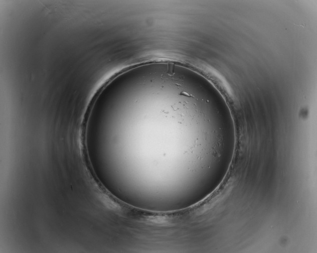 X0000102781182200808251108