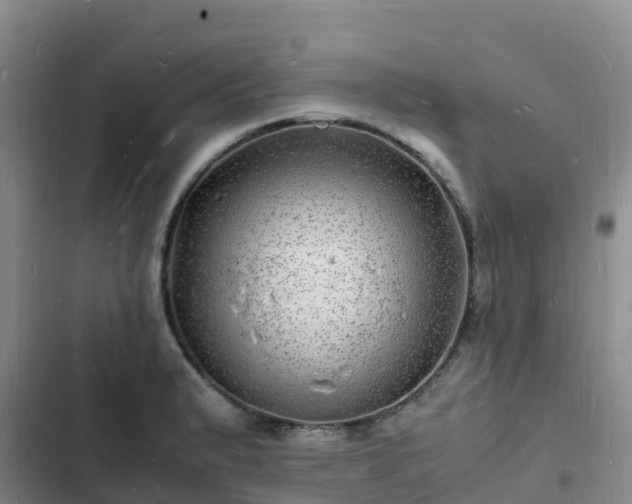 X0000102781183200808251108