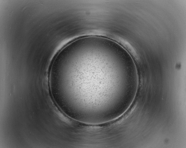 X0000102781184200808251108