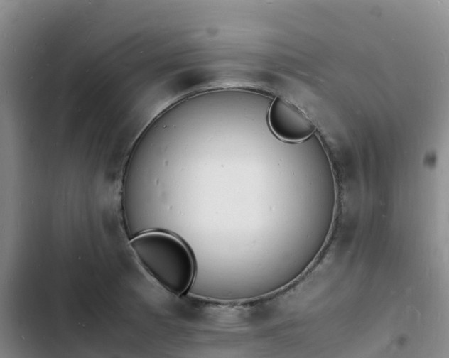 X0000102781185200808251108