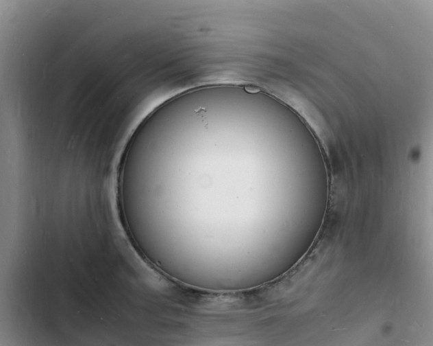 X0000102781187200808251108