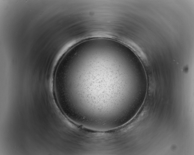 X0000102781188200808251108