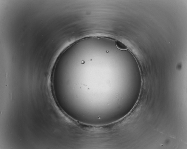 X0000102781189200808251108