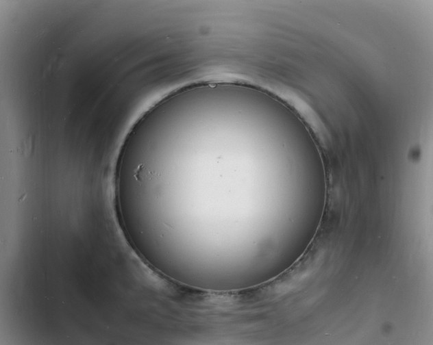 X0000102781191200808251108