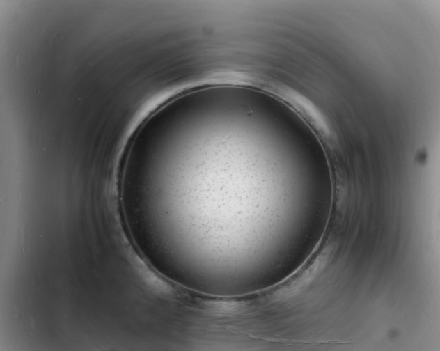 X0000102781192200808251108