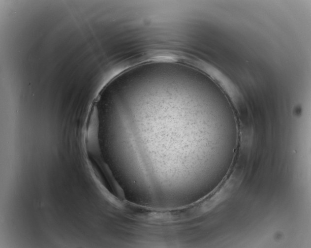 X0000102781194200808251108