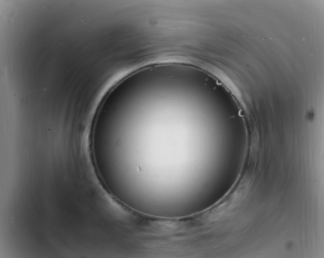 X0000102781197200808251108