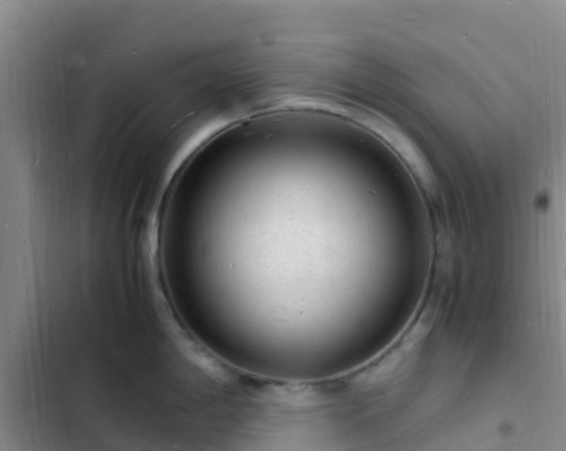 X0000102781198200808251108