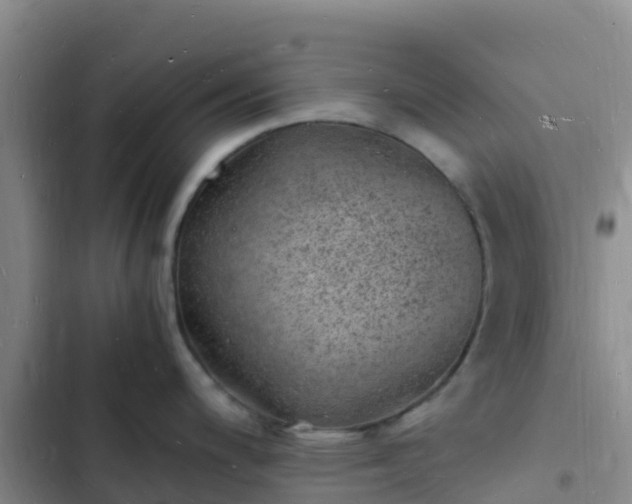 X0000102781200200808251108