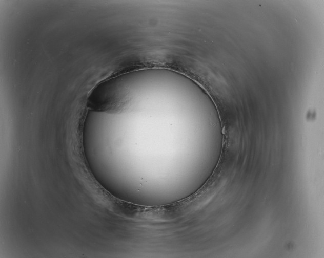 X0000102781201200808251107