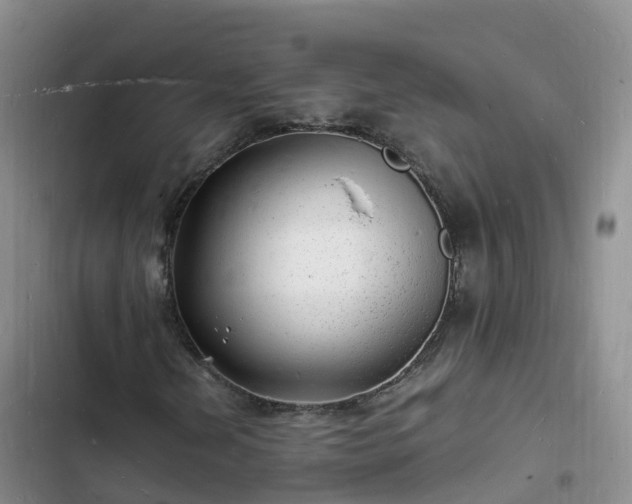 X0000102781202200808251107