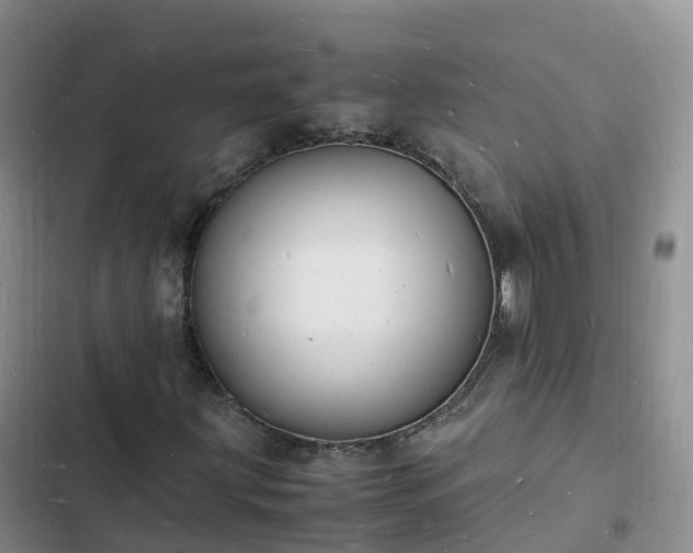 X0000102781203200808251107