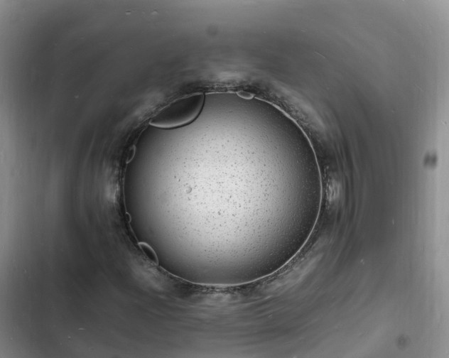 X0000102781204200808251107