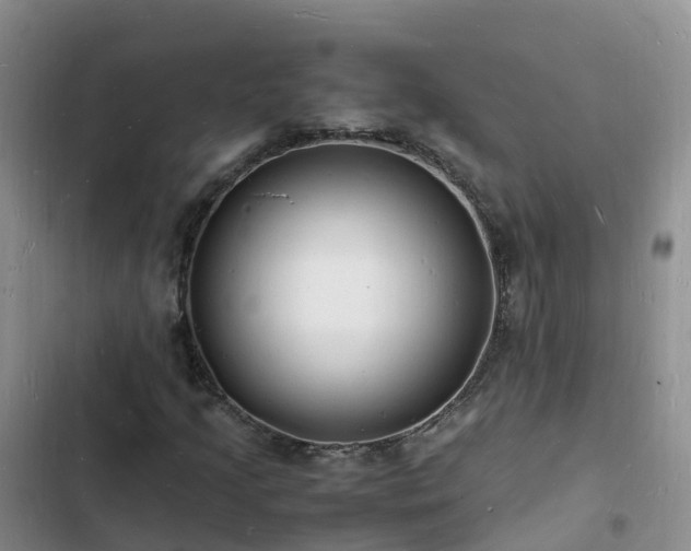 X0000102781205200808251108