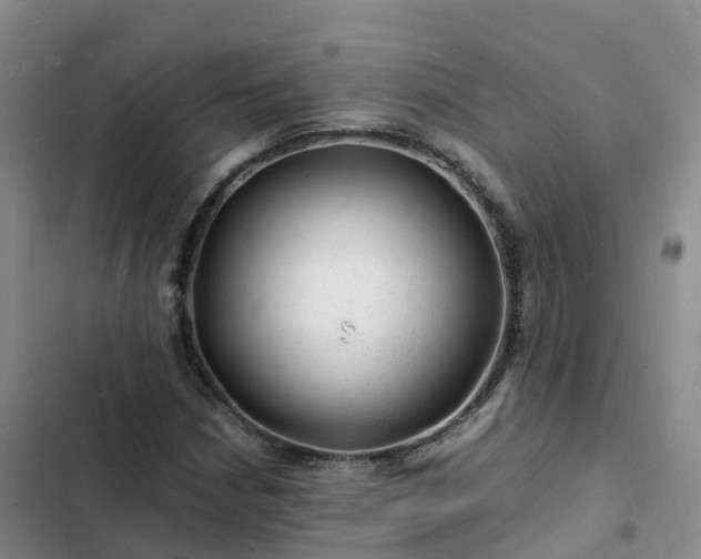 X0000102781210200808251108