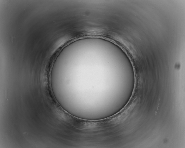 X0000102781211200808251108