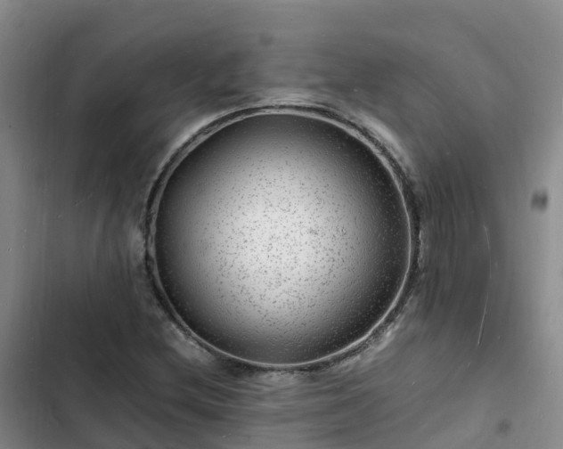 X0000102781212200808251108