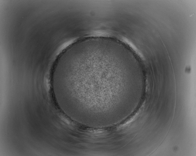 X0000102781213200808251108