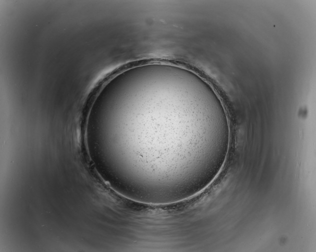 X0000102781214200808251108