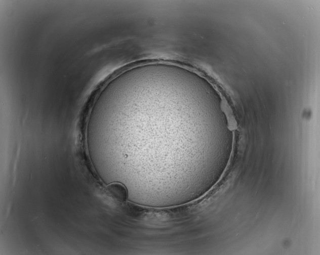 X0000102781215200808251108