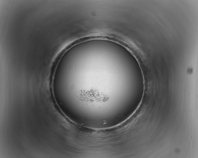 X0000102781216200808251108