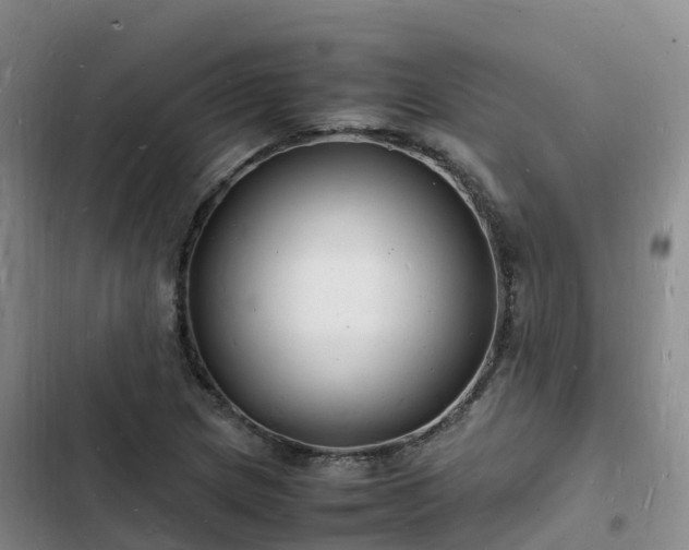 X0000102781217200808251108