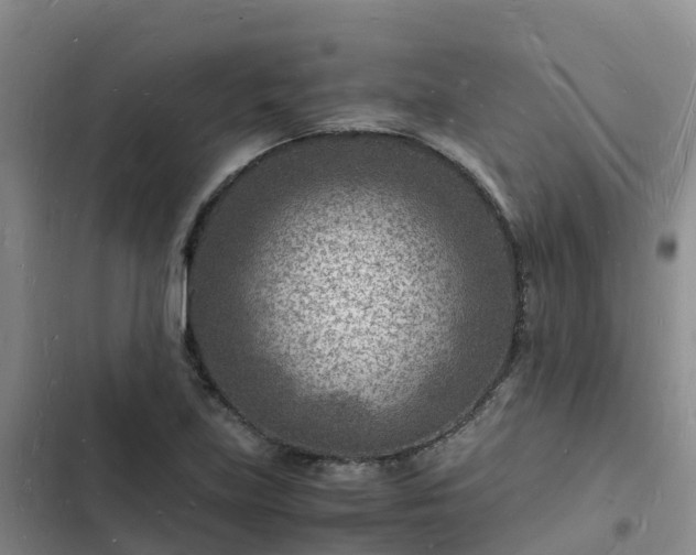 X0000102781219200808251108