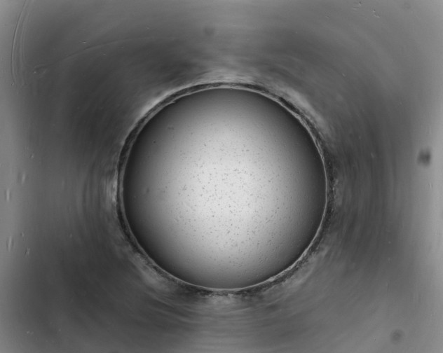 X0000102781220200808251108